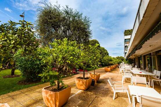 Jardins D'arcadie Cannes