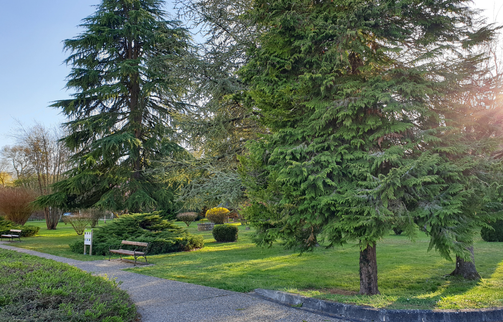 Le Clos Des Bénédictins