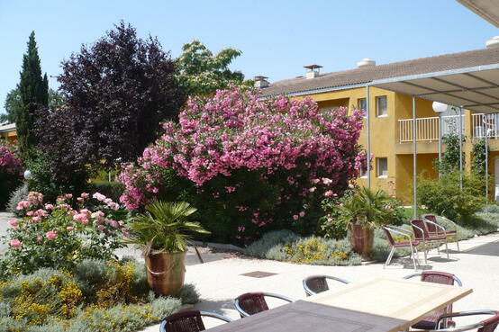 Les Lavandins